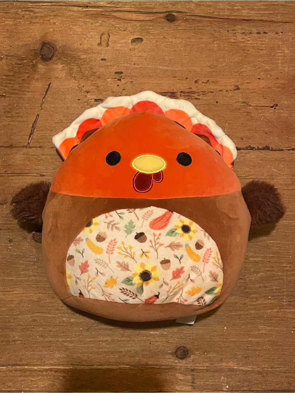 Autumn Plush Turkey